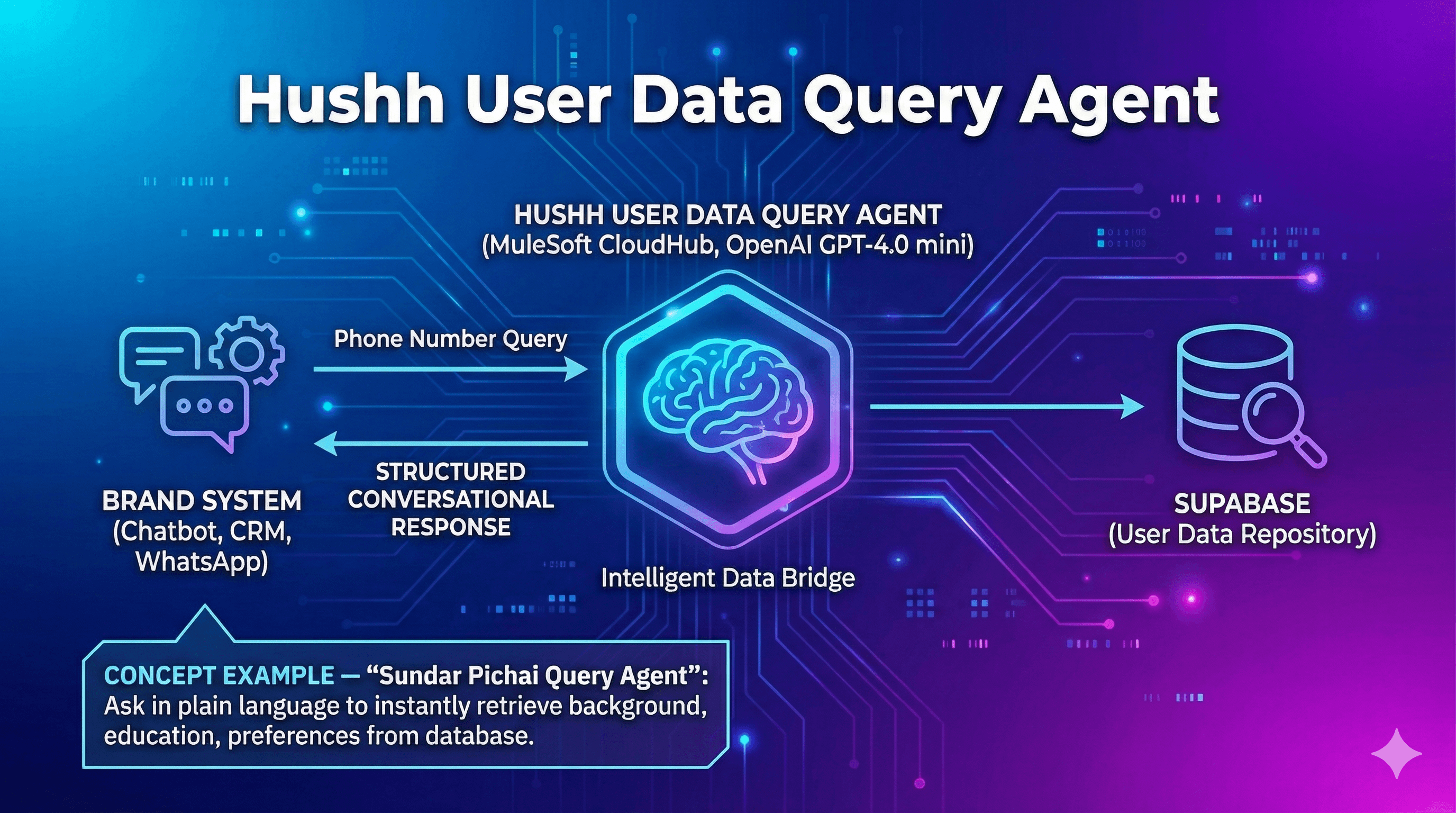 hussh User Data Query Agent