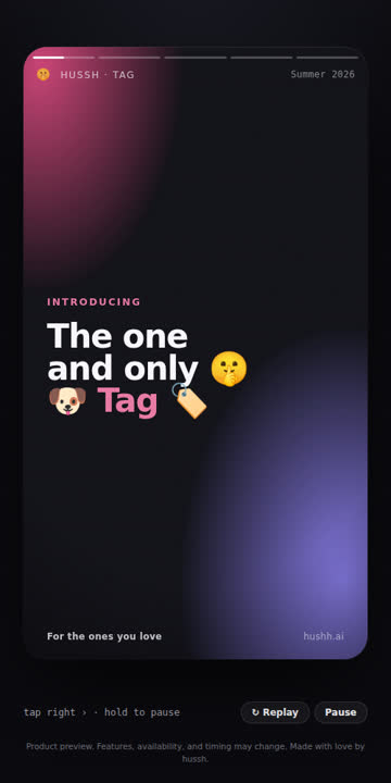 Introducing the 🤫 Tag